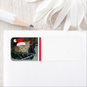 Étiquette Christmas Orange Tabby Kitten (En situation)