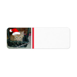 Étiquette Christmas Orange Tabby Kitten