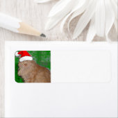 Étiquette Christmas Orange Tabby Kitten (En situation)