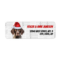 Christmas Shorthair Pointer Dointer Adresse de ret