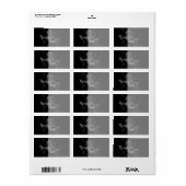 Étiquette Chrome comme Capricorn Zodiac Connexion Hevelius (Feuille entière)