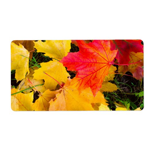 Étiquette Chute des feuilles d'érable au sol (Devant)