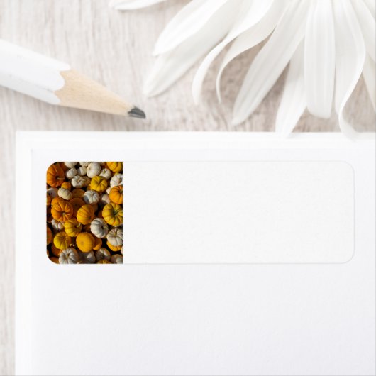 Étiquette Citrouille (En situation)