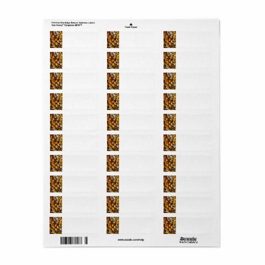 Étiquette Citrouille (Feuille entière)