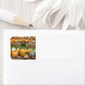 Étiquette Citrouille (En situation)