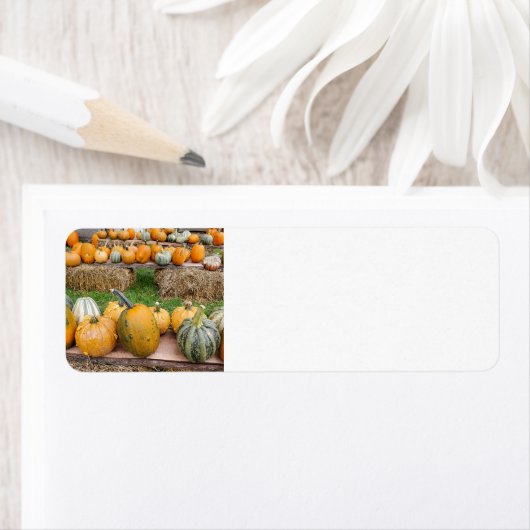 Étiquette Citrouille (En situation)