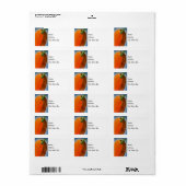 Étiquette Citrouille gai (Feuille entière)