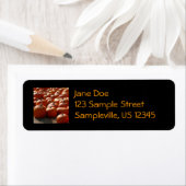 Étiquette Citrouille Patch Automne Harvest Photographie (En situation)