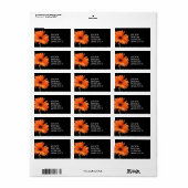 Étiquette Classy Black & Orange Gerbera Daisy (Feuille entière)