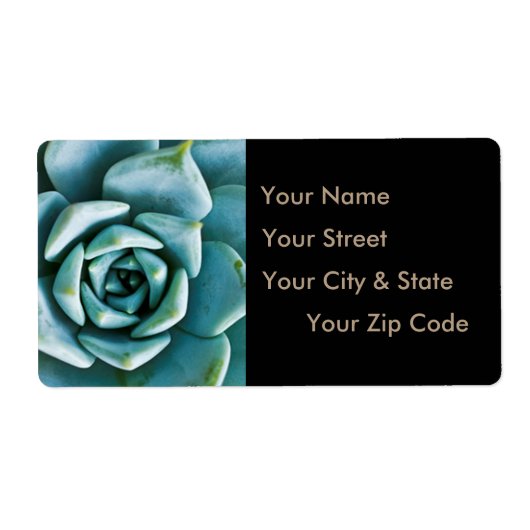 Étiquette Closeup Succulent (Devant)