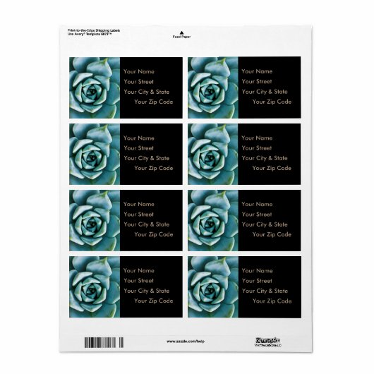 Étiquette Closeup Succulent (Feuille entière)