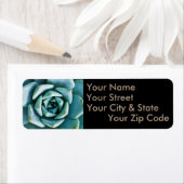 Étiquette Closeup Succulent (En situation)