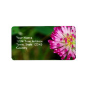 Étiquette Clover rouge (Devant)