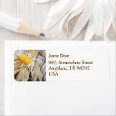 Étiquette Cob de maïs (En situation)