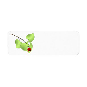 Étiquette Coccinelle avec trois feuilles et une baisse