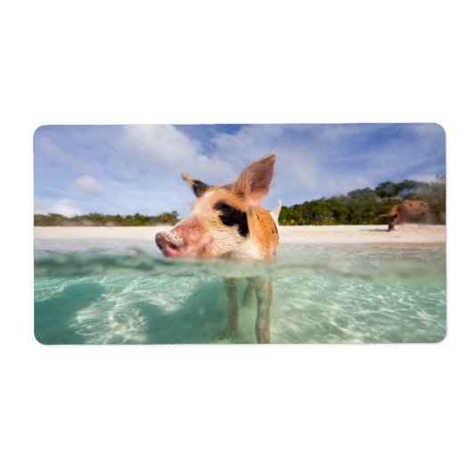 Étiquette Cochon de natation d'Exuma (Devant)