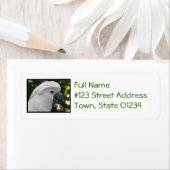 Étiquette Cockatoo blanc (En situation)