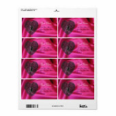 Étiquette COEUR DE LACE CUPIDE, VÊTEMENT DE SOIE FUCHSIA ros (Feuille entière)