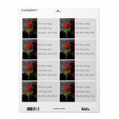 Étiquette Coeurs Grunge Noir avec Rose Rouge (Feuille entière)