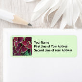 Étiquette Coleus (En situation)