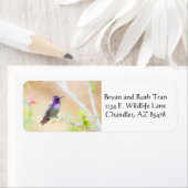 Étiquette Colibri de Costa au milieu du feuillage (En situation)