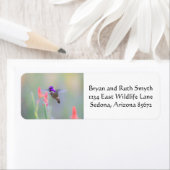 Étiquette Colibri de Costa en approche (En situation)