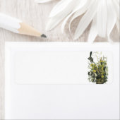 Étiquette Colibri du Nord par Audubon (En situation)