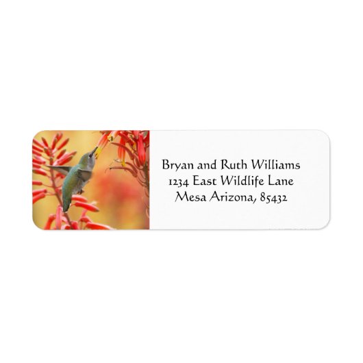 Étiquette Colibri entouré de yucca rouge (Devant)