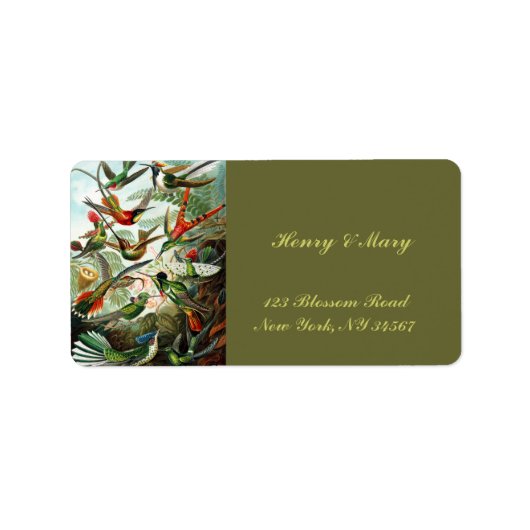 Étiquette Colibri par Ernst Haeckel (Devant)