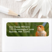 Étiquette Colibri roux mignon au repos (En situation)