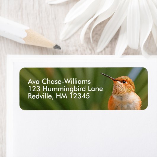 Étiquette Colibri roux mignon au repos (En situation)