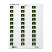 Étiquette collie de bordure courant avec jouet (Feuille entière)