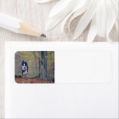 Étiquette collie frontière courant dans les bois (En situation)