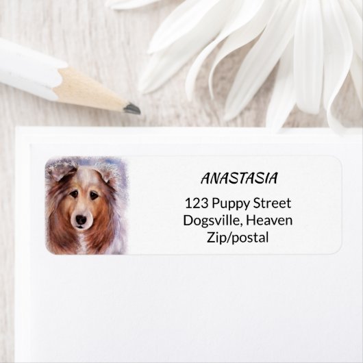 ÉTIQUETTE COLLIE GORGEUSE (En situation)