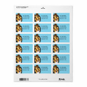 Étiquette Collie Sheltie Carribean (Feuille entière)