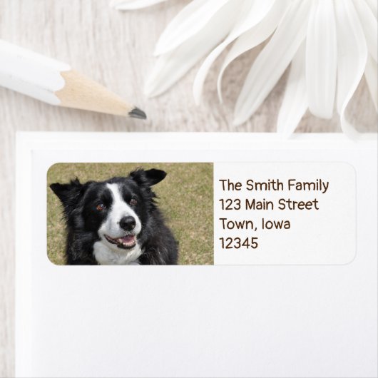 Étiquette Collier frontalier (En situation)