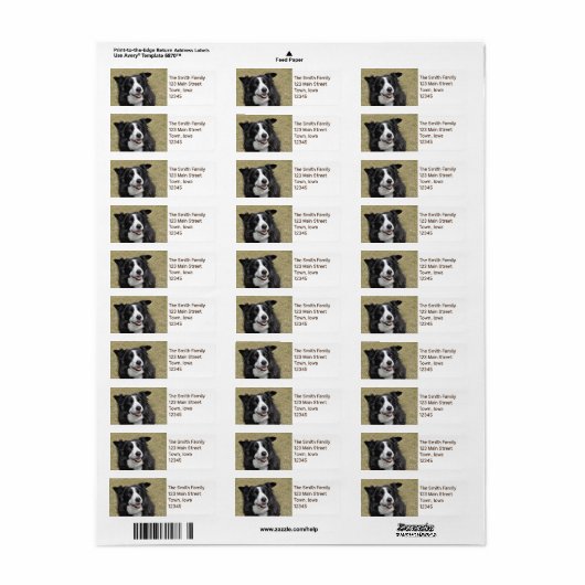 Étiquette Collier frontalier (Feuille entière)