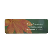 Étiquette Colonnes d'automne Adresse de retour (Devant)