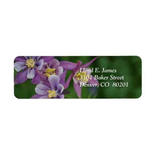 Étiquette Colorado Colorado Purple Columbine Adresse de reto (Devant)