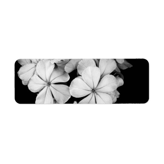 Étiquette Conception de carte postale noir et blanc (Devant)