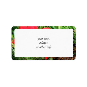 Étiquette Cone de pin de Noël et Poinsettia