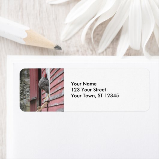 Étiquette Coop de poulet (En situation)