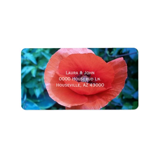 Étiquette Coquelicot. Fleur rouge. (Devant)