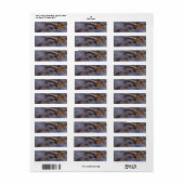 Étiquette Coques de mer dans le Surf Retourner l'adresse Éti (Feuille entière)