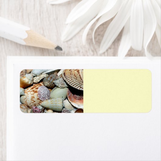 Étiquette coquillages (En situation)