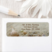 Étiquette Coquillages et littoral de sable de plage (En situation)