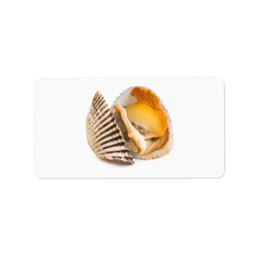 Étiquette Coquille (Devant)
