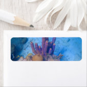 Étiquette Corail tropical (En situation)