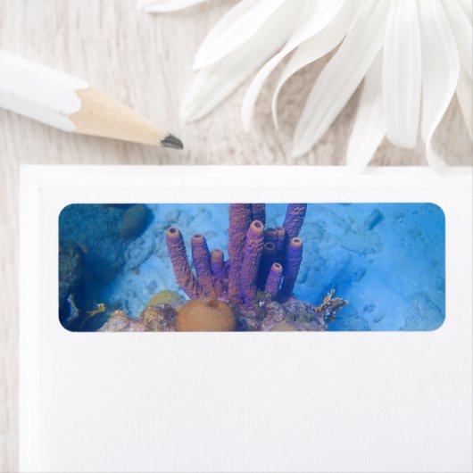 Étiquette Corail tropical (En situation)