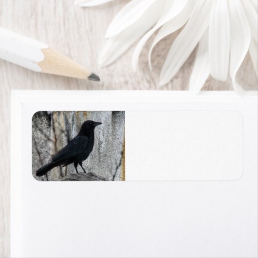 Étiquette Corbeau en attente (En situation)